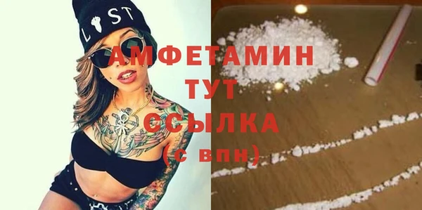 ГАЛЛЮЦИНОГЕННЫЕ ГРИБЫ Кукмор