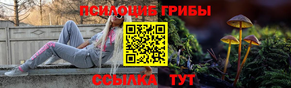 Псилоцибиновые грибы Psilocybe  Вход с VPN  Липецк 