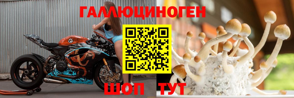 Галлюциногенные грибы Magic Shrooms Липецк